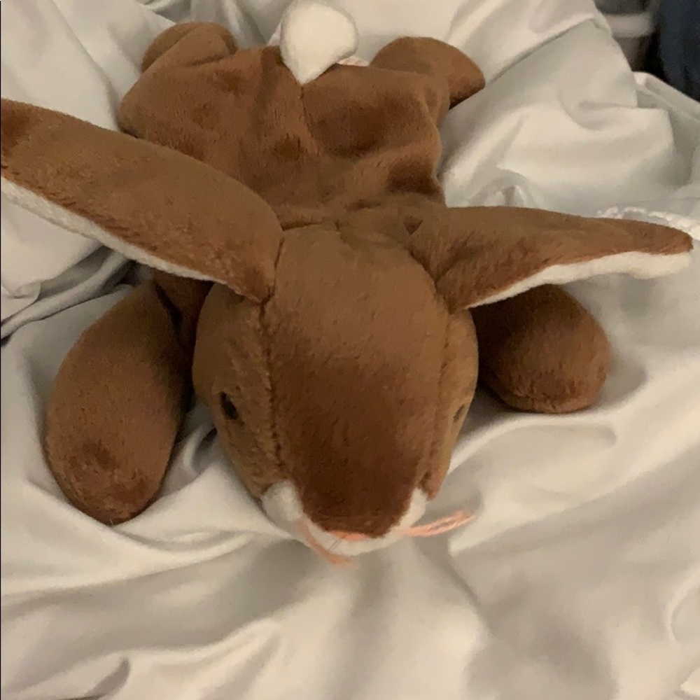 Ears beanie baby